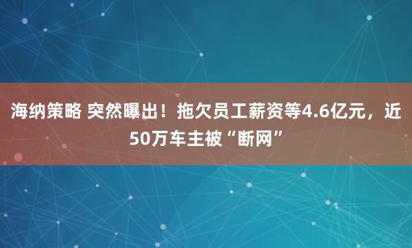 海纳策略 突然曝出!拖欠员工薪资等4.6亿元,近50万车主被“断网”