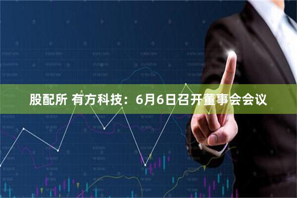 股配所 有方科技:6月6日召开董事会会议