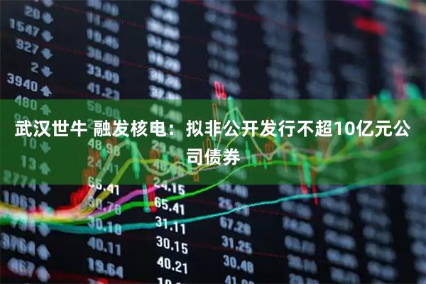 武汉世牛 融发核电:拟非公开发行不超10亿元公司债券