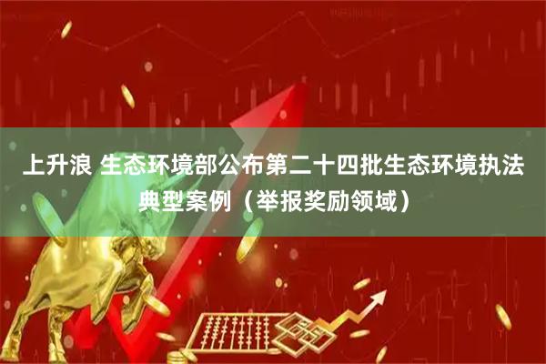 上升浪 生态环境部公布第二十四批生态环境执法典型案例(举报奖励领域)