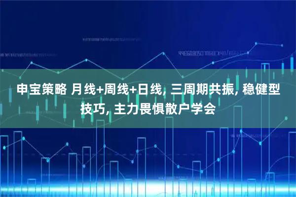 申宝策略 月线+周线+日线, 三周期共振, 稳健型技巧, 主力畏惧散户学会