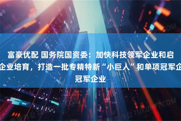 富豪优配 国务院国资委：加快科技领军企业和启航企业培育，打造一批专精特新“小巨人”和单项冠军企业