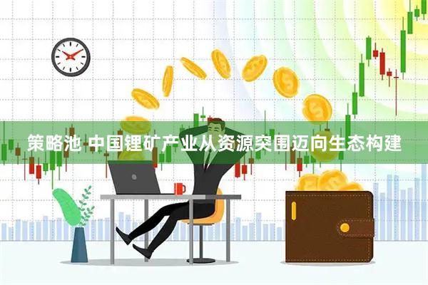 策略池 中国锂矿产业从资源突围迈向生态构建