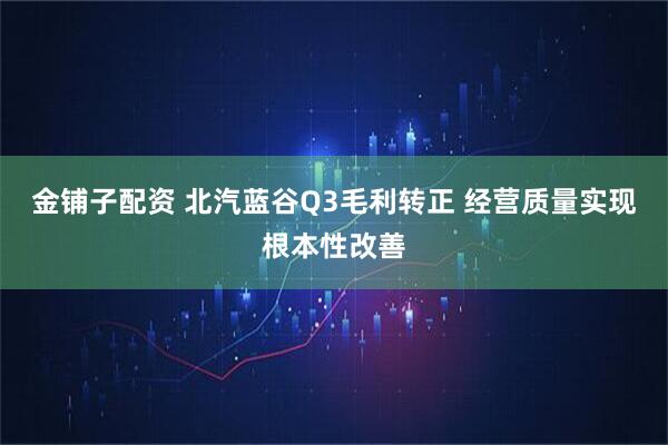 金铺子配资 北汽蓝谷Q3毛利转正 经营质量实现根本性改善
