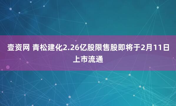 壹资网 青松建化2.26亿股限售股即将于2月11日上市流通